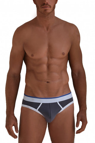 Gray & White brief Gray & White brief